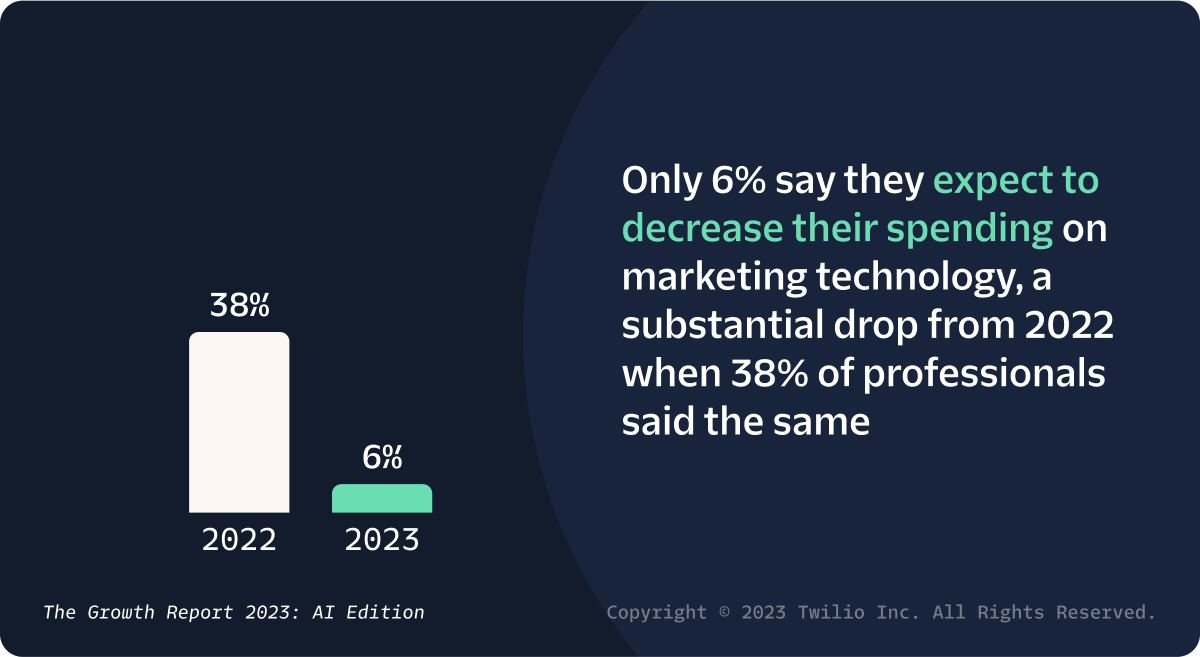 Only 6% say they expect to decrease their spending on marketing technology, a substantial drop from 2022 when 38% of professionals said the same