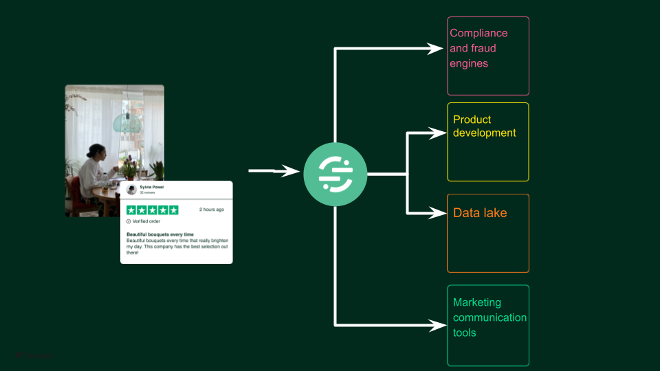 Segment + TrustPilot Diagram